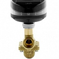 003Z1203 (003Z1803) КЛАПАН БАЛАНСИРОВОЧНЫЙ DANFOSS AQT (AB-QM) ДУ=20 БЕЗ ИЗМЕРИТЕЛЬНЫХ НИППЕЛЕЙ