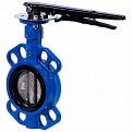 Затвор дисковый Ridval тип RVB 01 DN065 PN16,корпус чугун, диск чугун, EPDM СИНИЙ